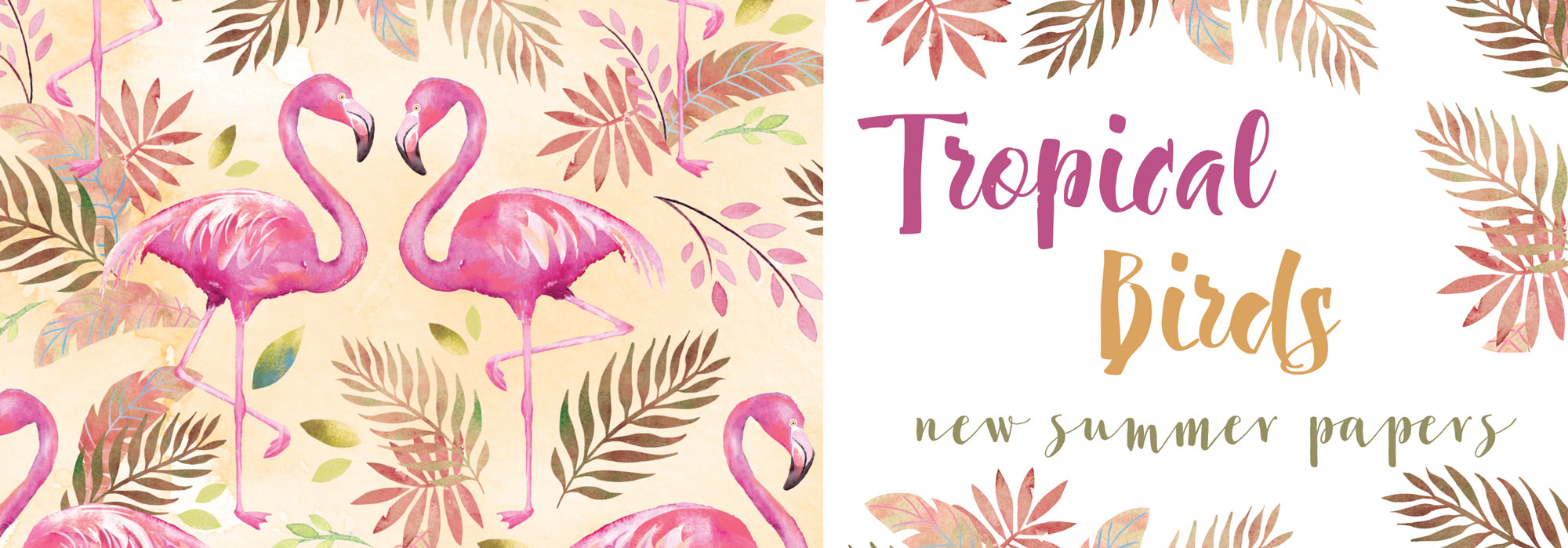 Tropical Birds - New Summer Papers