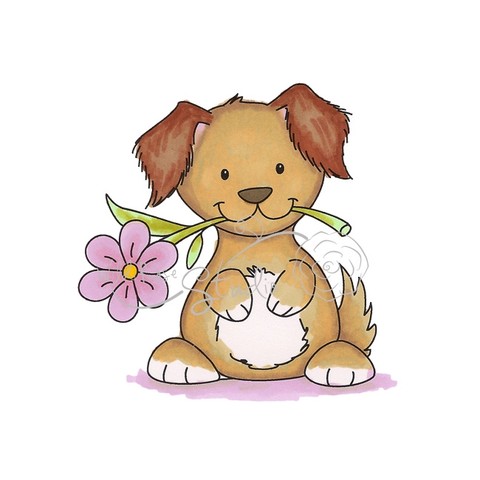 Dog with Daisy