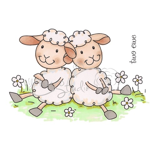 Two Ewe