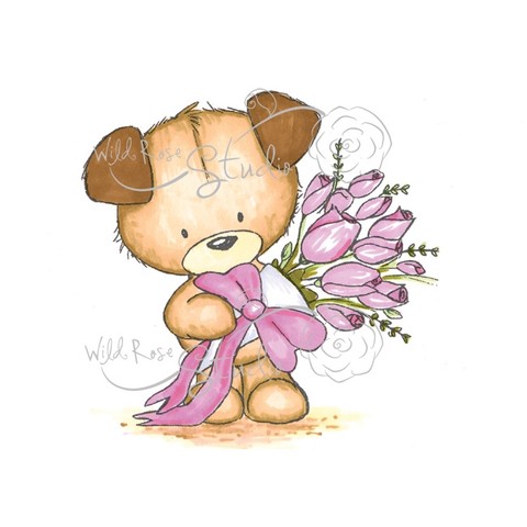 Toby with Roses