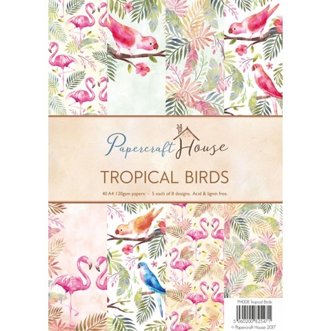 Tropical Birds