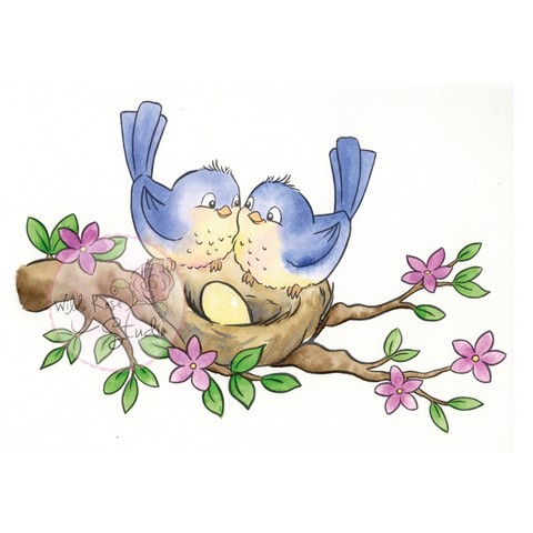 Birds on Nest